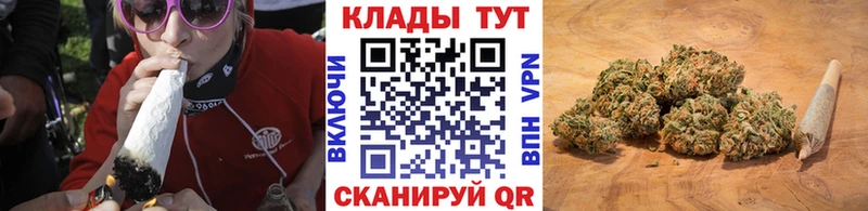 Псилоцибиновые грибы Кингисепп
