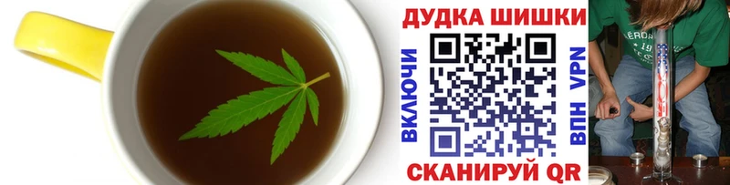 что такое   Кингисепп  hydra   Cannafood конопля 